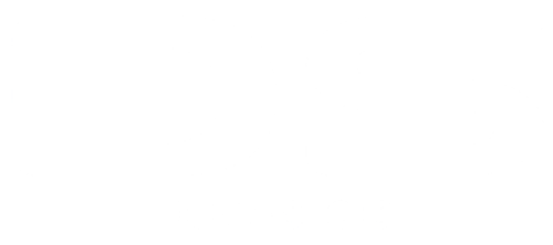DS | Dunia Shoes logo